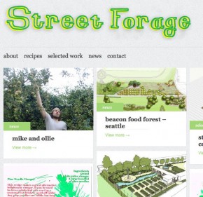 street forage - the website